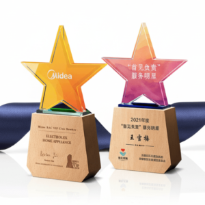 Cúp Ngôi Sao LAS01