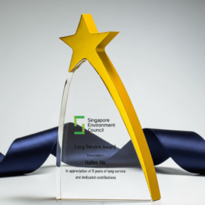 Cúp Ngôi Sao LAS22