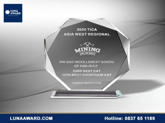 Đặt làm kỷ niệm chương pha lê giá rẻ TP.HCM