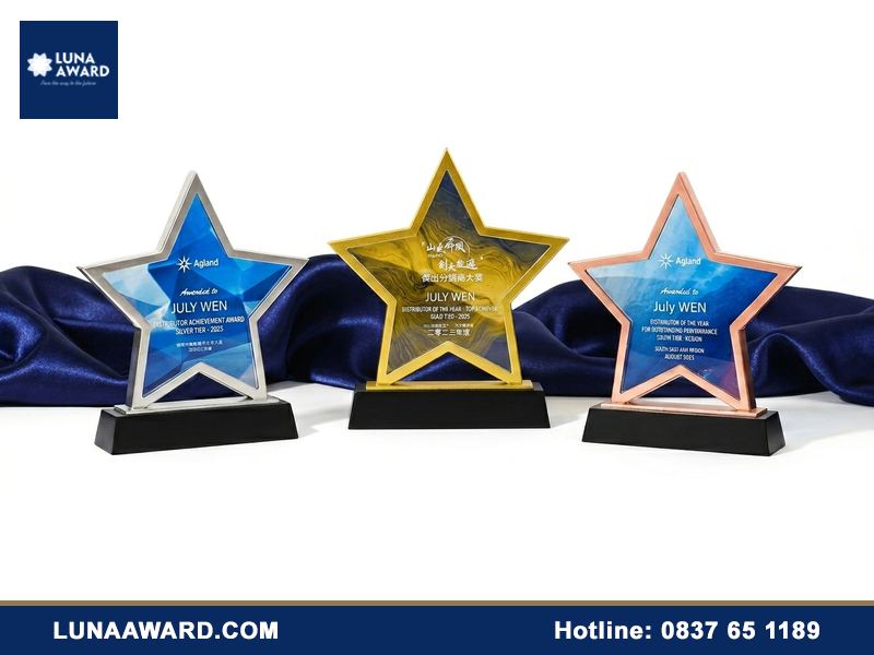 Kỷ niệm chương pha lê ngôi sao